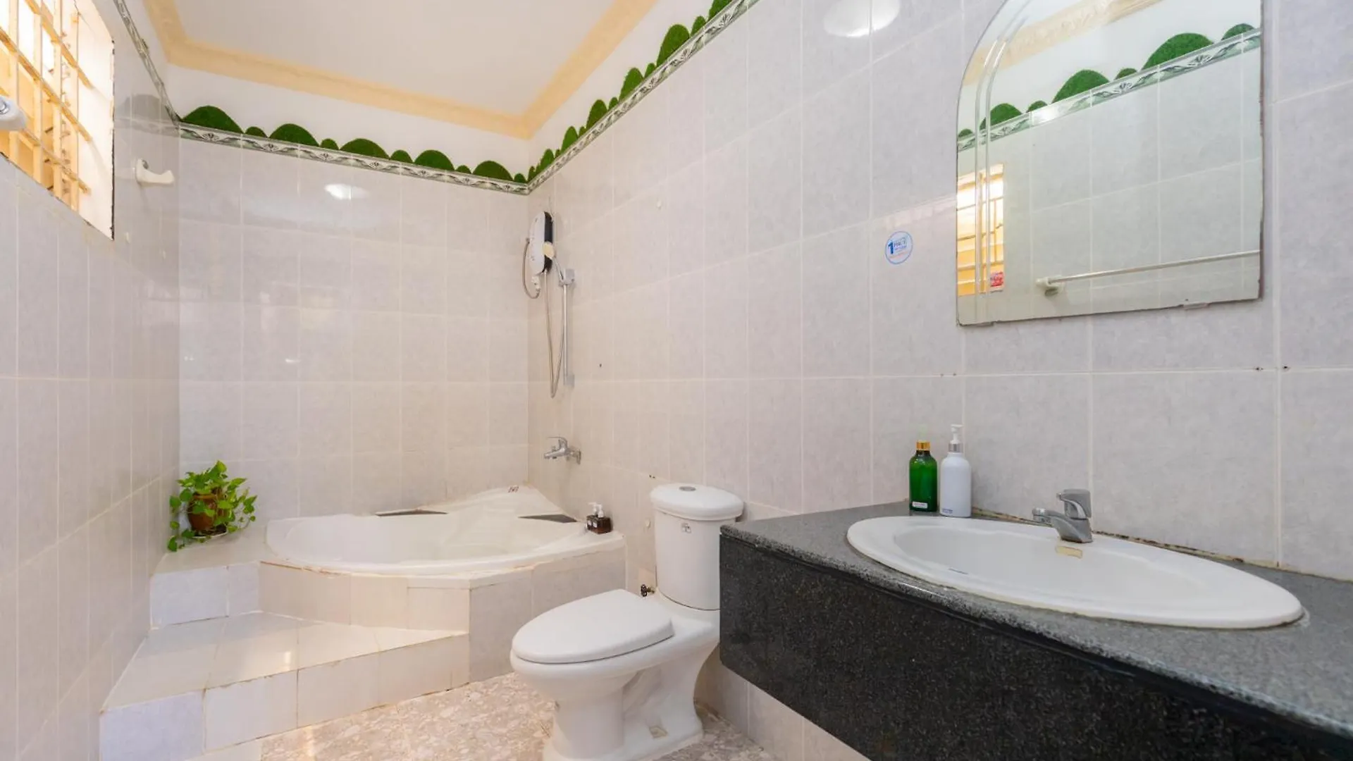 Biet Thu Ho Boi Khu A Chau Trung Tam Vt Villa Vung Tau